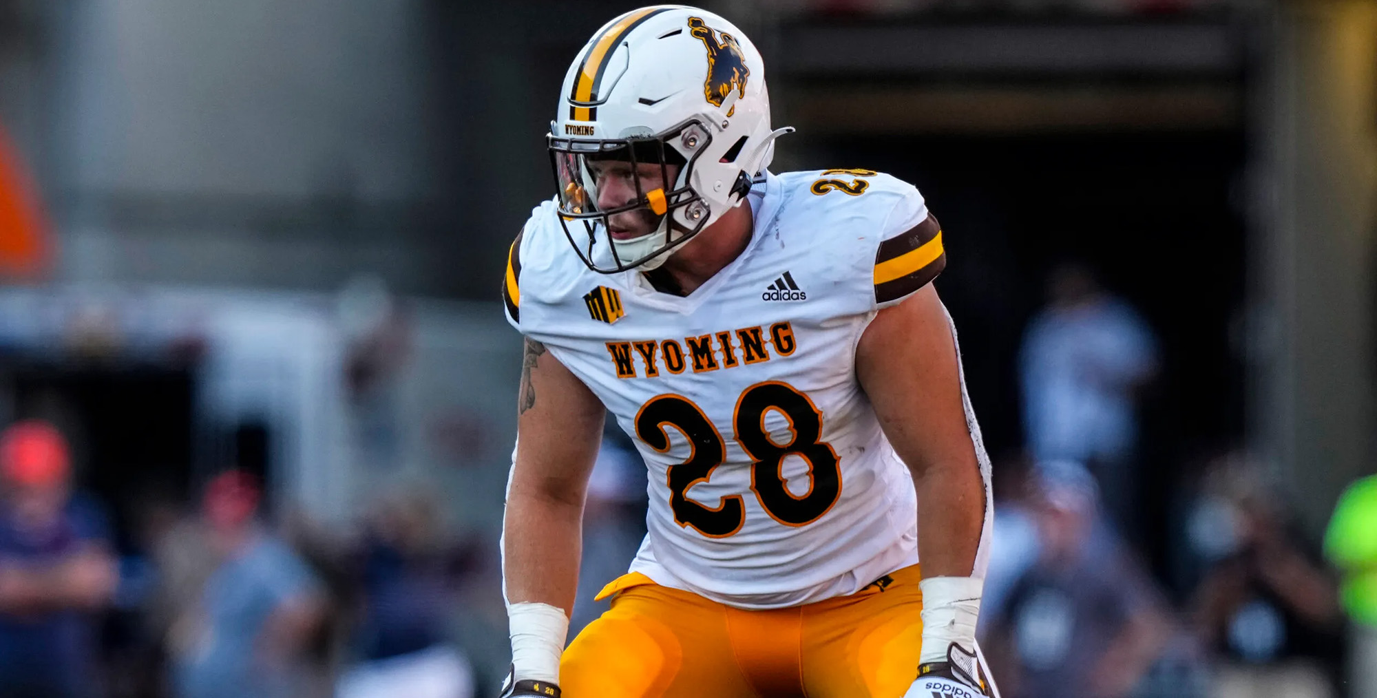 Sportswear Discount Store -Sportswear Discount Store 1 1