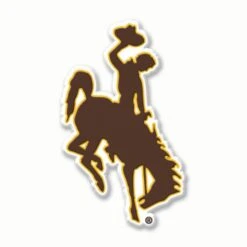 Wyoming Cowboys Flexible Magnet