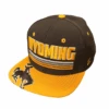 Wyoming Cowboys Pitch A Fit Youth Hat – Brown -Sportswear Discount Store 60224 1