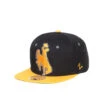 Wyoming Cowboys Youth Flatbill Hat – Black/Gold -Sportswear Discount Store WYOAPB0010 30 Left scaled 1