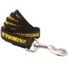 Wyoming Cowboys Dog Leash -Sportswear Discount Store WYOMING L