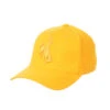 Wyoming Cowboys Tonal Flexfit Hat – Gold -Sportswear Discount Store WYOZHT005001 1 2 scaled 1