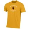 UA Wyoming Cowboys Performance S/S Tee – Steel Gold -Sportswear Discount Store apu03620947 um0706 307 ftq mq 1 3729350